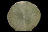 Pyrite Sun - Sparta, Illinois #137898-1